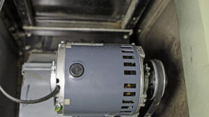 A furnace blower motor